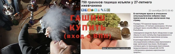 мяу мяу мука Гусиноозёрск