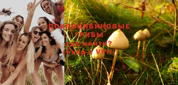 мяу мяу мука Гусиноозёрск