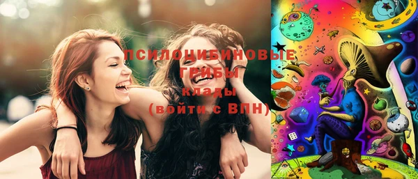 ешки Дмитриев