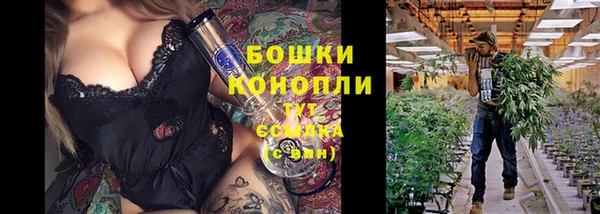 мяу мяу мука Гусиноозёрск