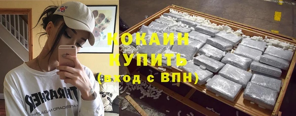spice Гусев