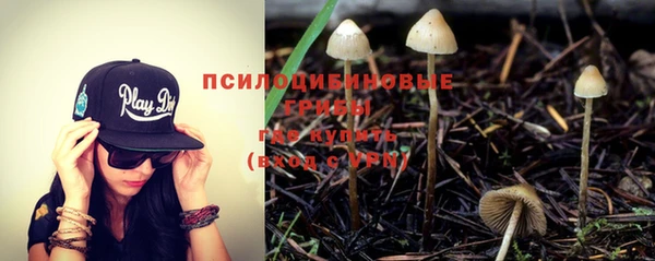 spice Гусев