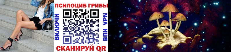 Псилоцибиновые грибы GOLDEN TEACHER Зеленогорск